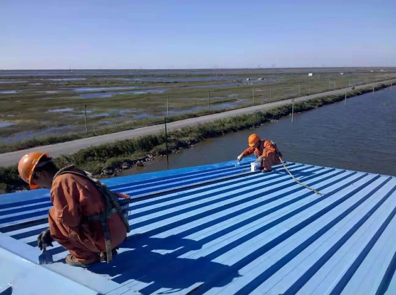 宛城彩钢瓦屋面防腐翻新